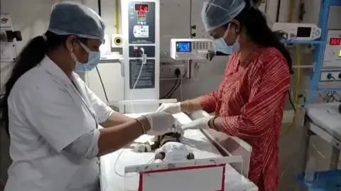Newborn Buried Living in the Country Battles for Survival