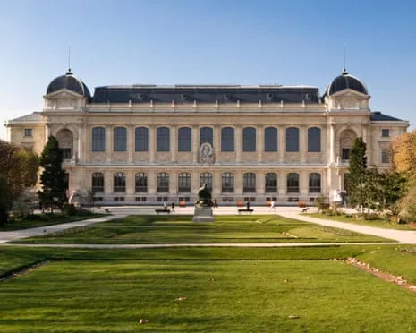Priceless Golden Samples Taken in Audacious Robbery at French Natural History Institution
