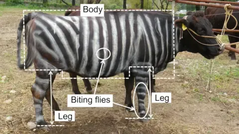 Striped Cattle and Teflon Food Secure Tongue-in-Cheek Academic Prizes