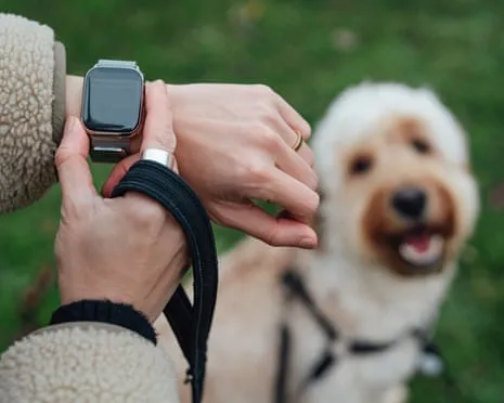 The Truth About Smartwatches? Daily Existence Is Better Lacking a Hectoring Gadget on Your Arm